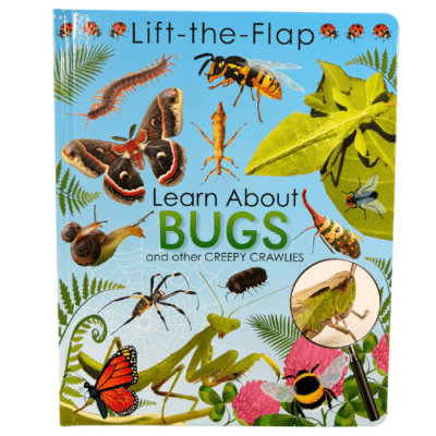 Lift the Flap Learn about Bugs