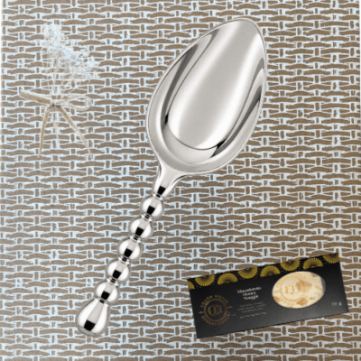 Ice Cream Scoop